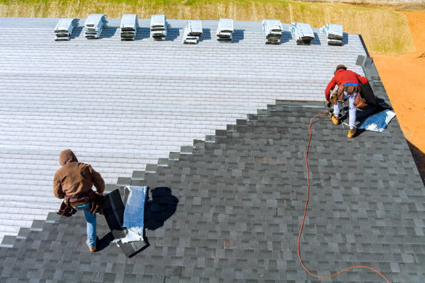 Best Roof Gutter Cleaning  in Nashville, MI