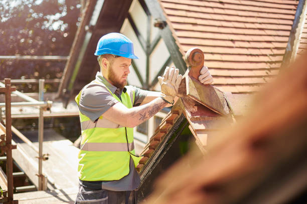 Best Roofing Contractor Near Me  in Nashville, MI