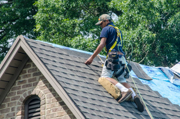 Best Metal Roofing Contractor  in Nashville, MI